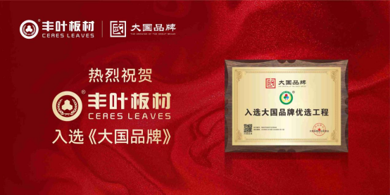 大國品牌，行業(yè)標(biāo)桿丨豐葉板材成功入選《大國品牌》