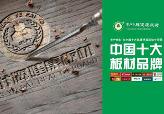 豐葉板材:重塑空間藝術,展示自然律動 豐葉板材:重塑空間藝術,展示自然律動