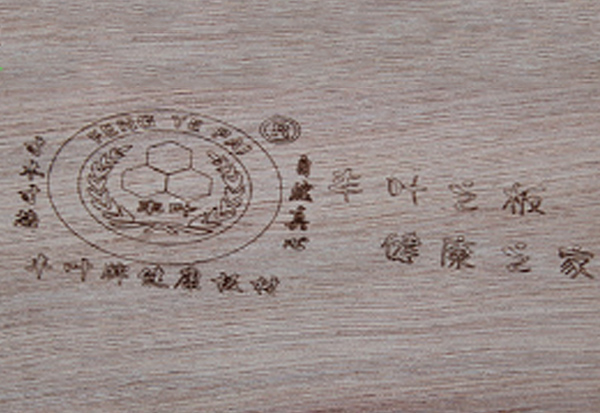 木材的構造 木材的構造